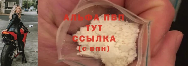 стаф Медвежьегорск