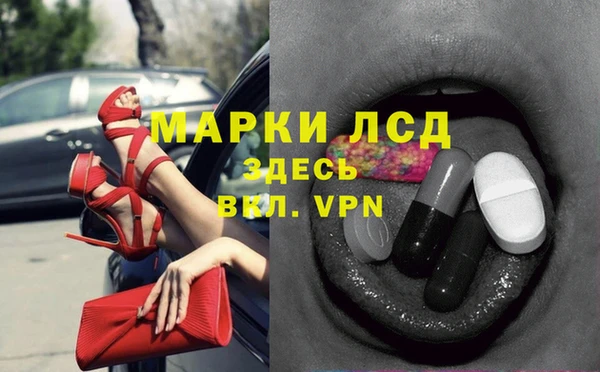 стаф Медвежьегорск