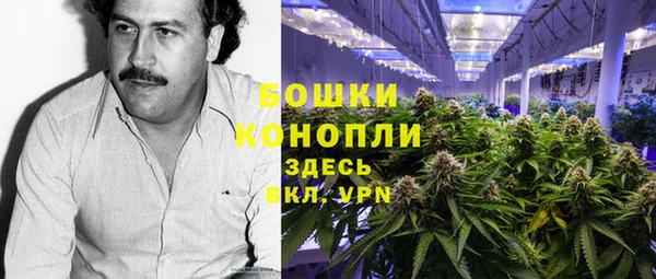 стаф Медвежьегорск