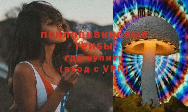 spice Медногорск