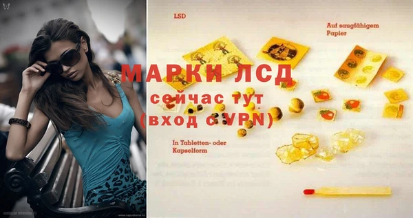 PSILOCYBIN Михайлов
