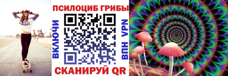 Галлюциногенные грибы Psilocybine cubensis  дарнет шоп  Кочубеевское 